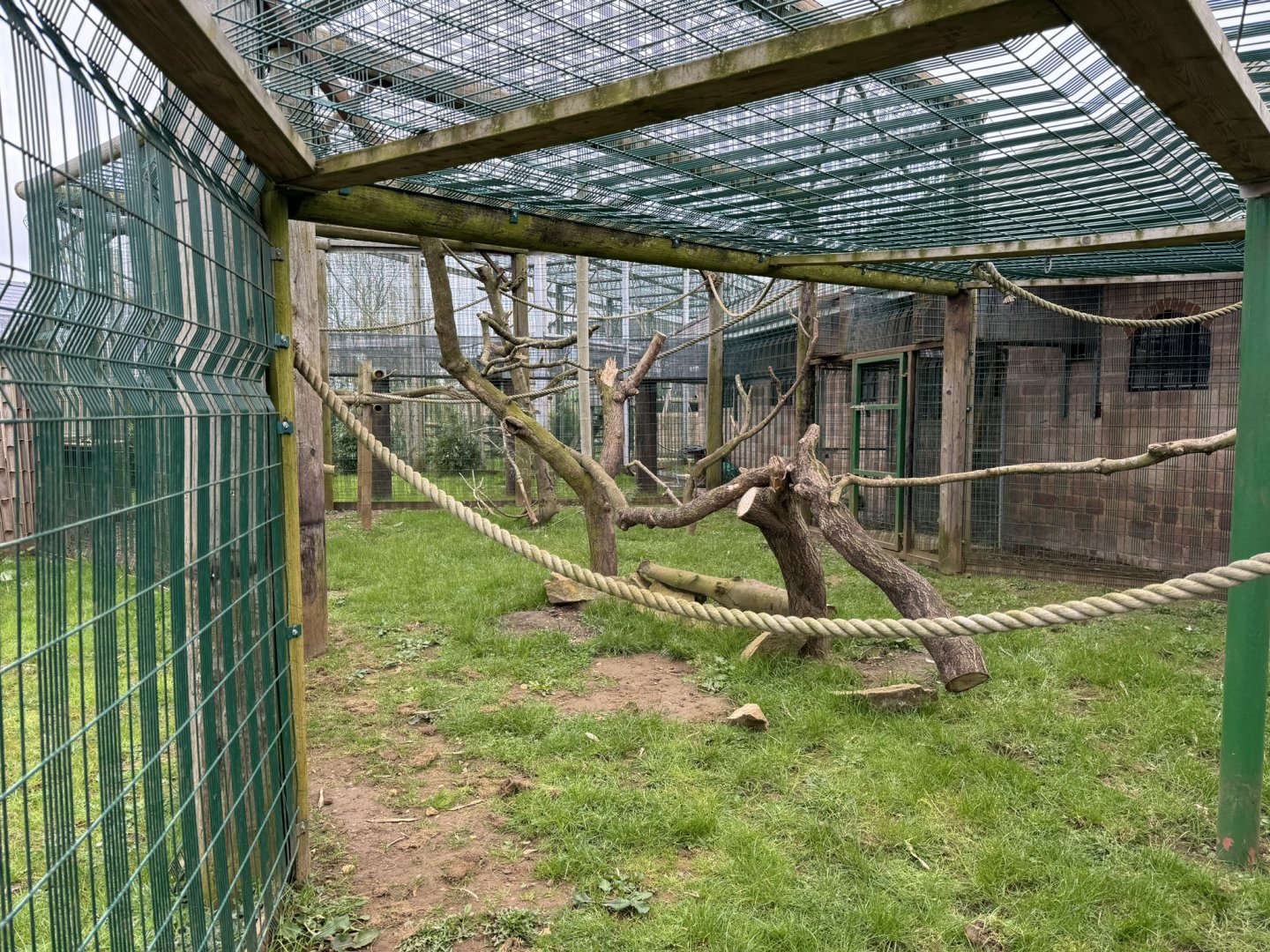 Pig-tailed Macaque Enclosure at Wolds Wildlife Park (March 2024)