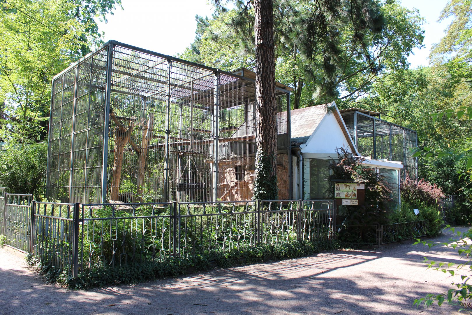 Pig-tailed Macaque Enclosure - July 2019