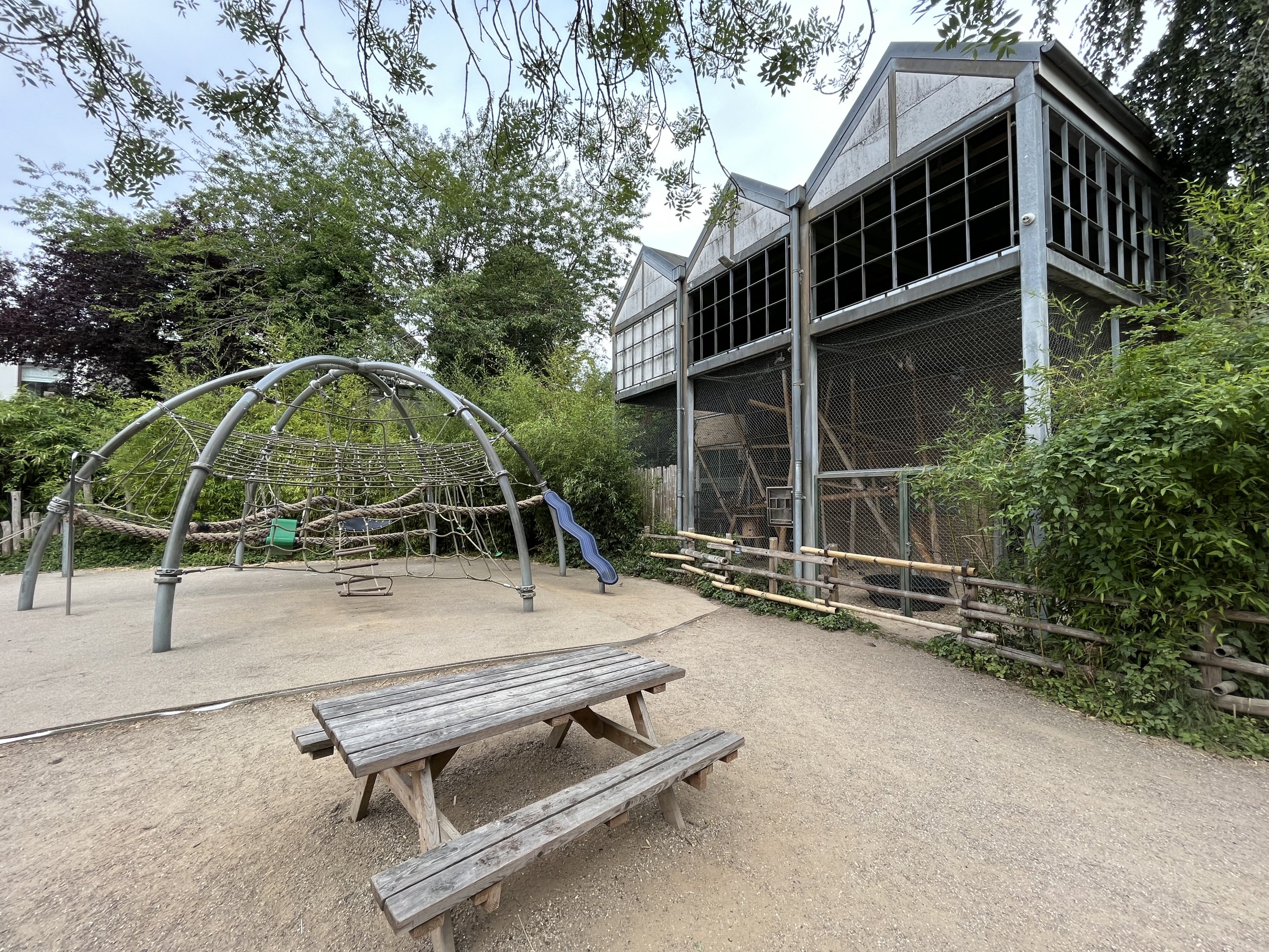 Pig-tailed Macaque Exhibit + Playground