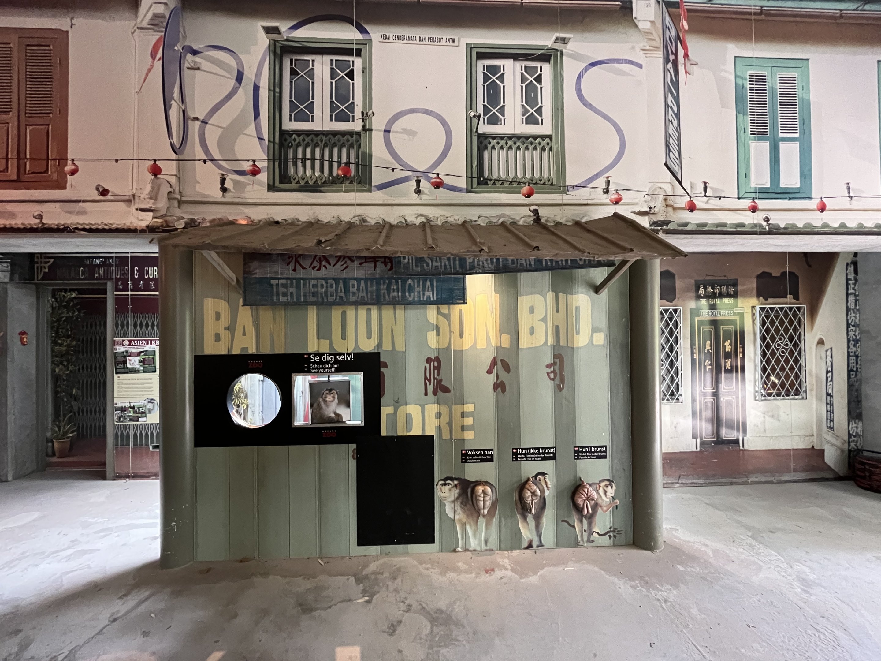 Pig-tailed Macaque Exhibit - visitor area