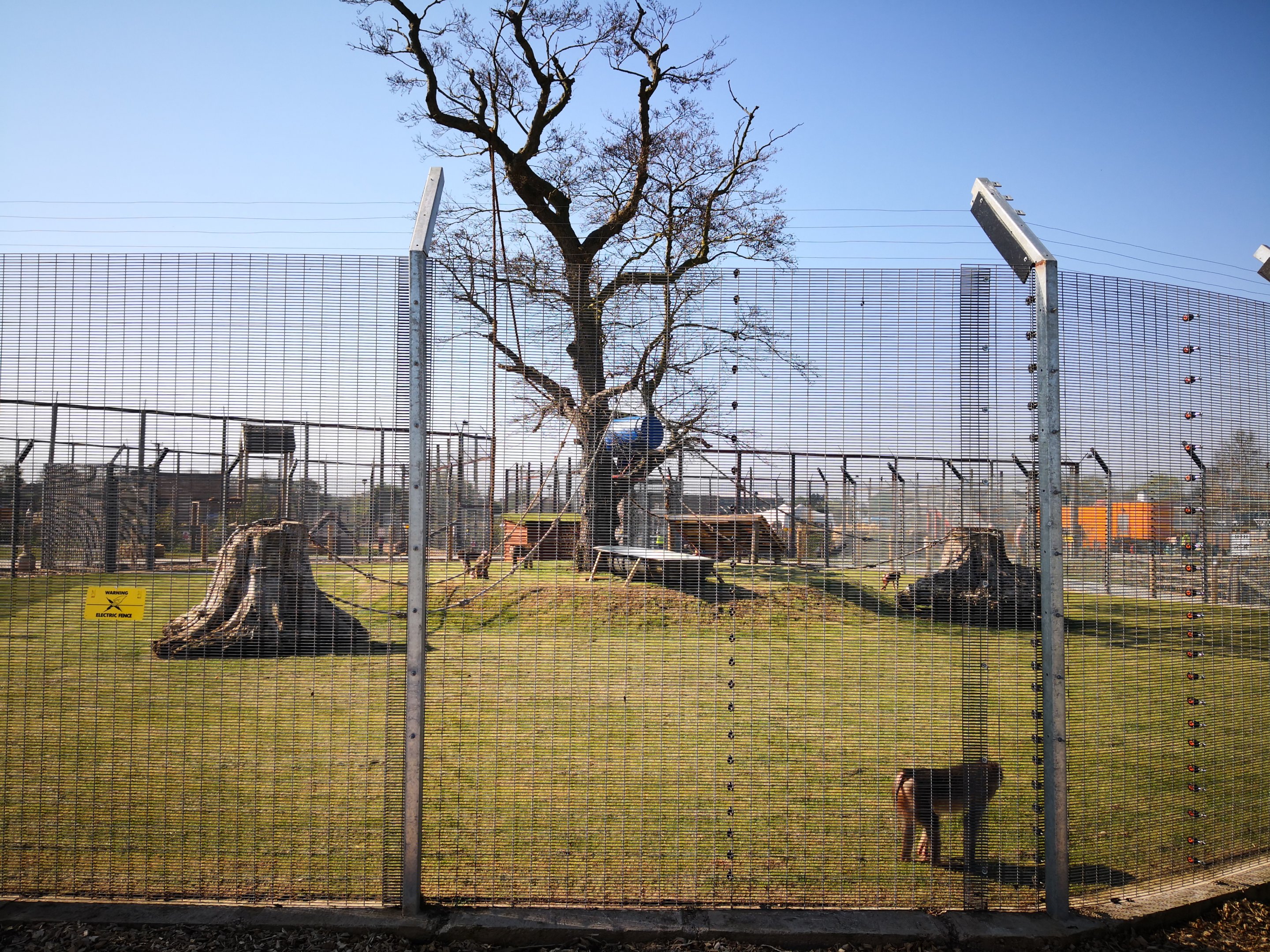 Pig tailed macaque exhibit