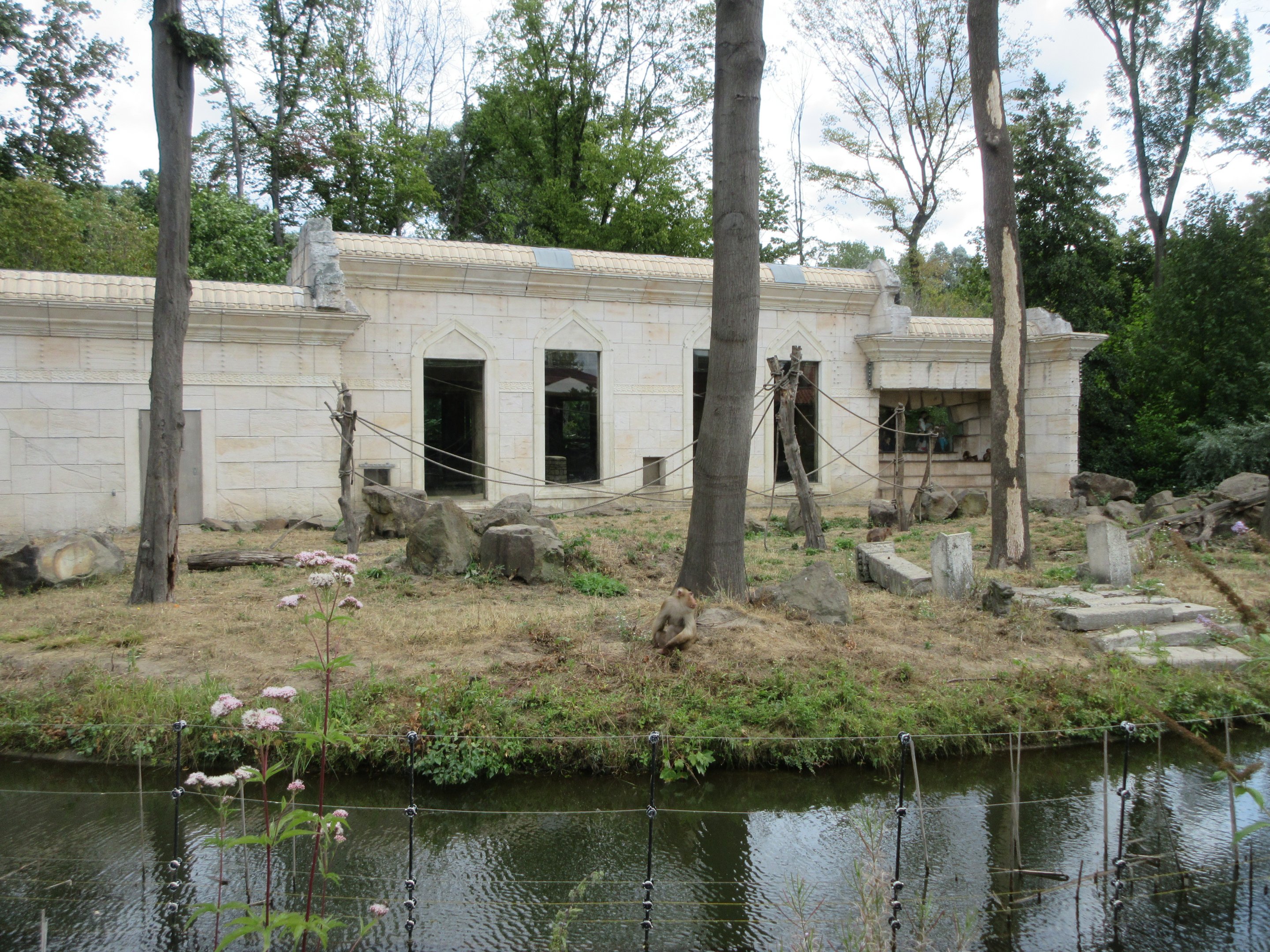 Pig-tailed Macaque Exhibit