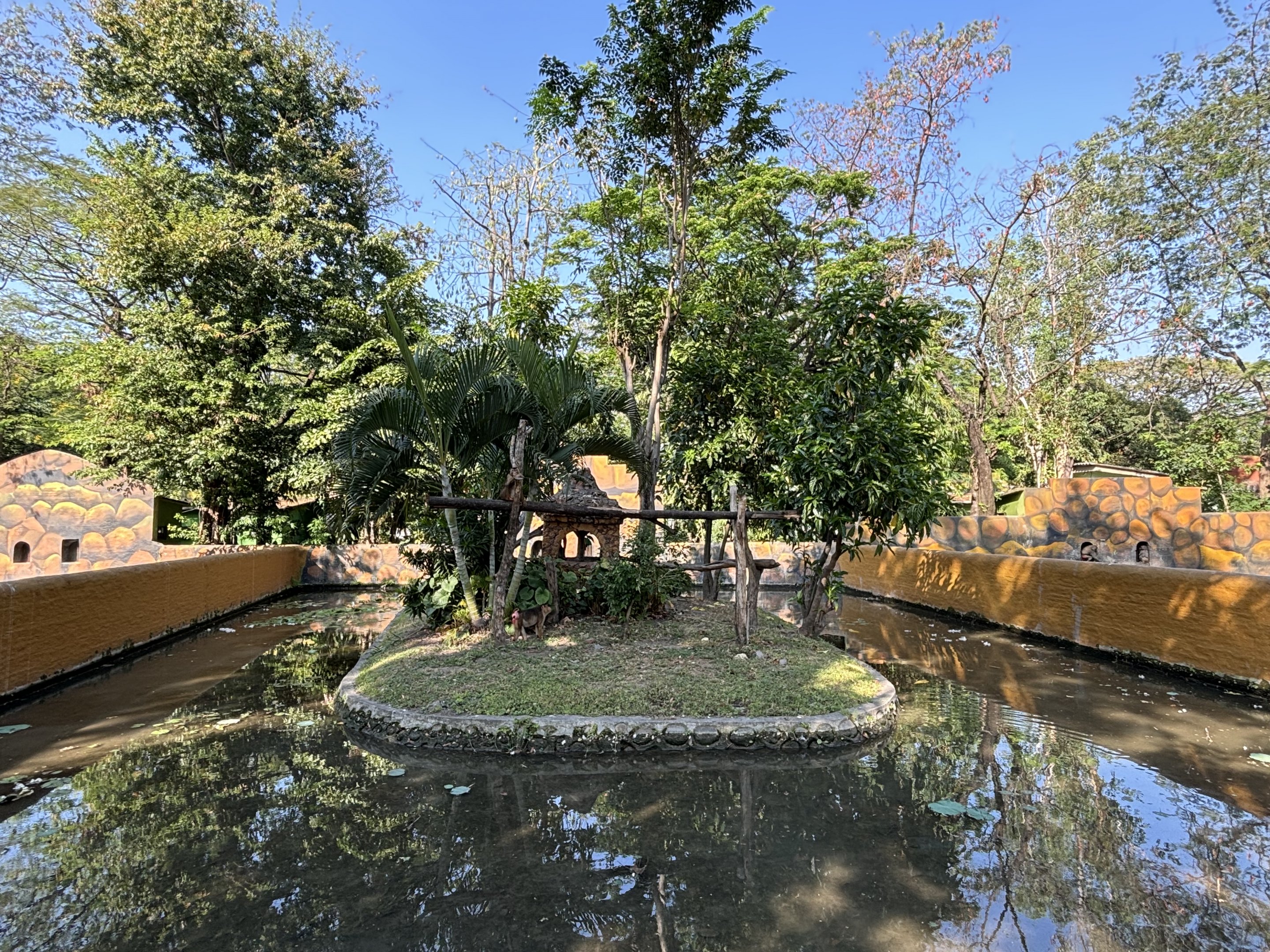 Pig-tailed Macaque Exhibit