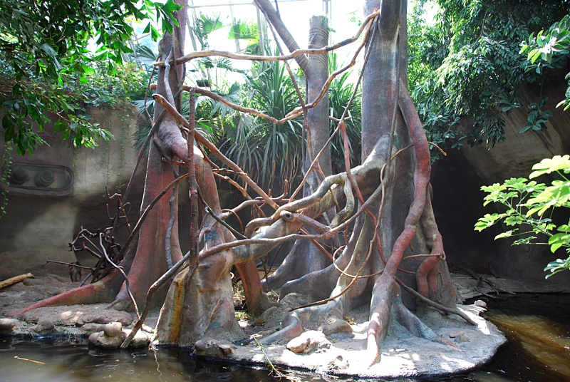 Pig-tailed macaque island at Praha