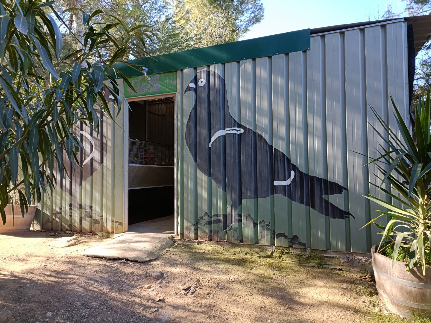 Pigeon aviaries - Bioparque La Rocha