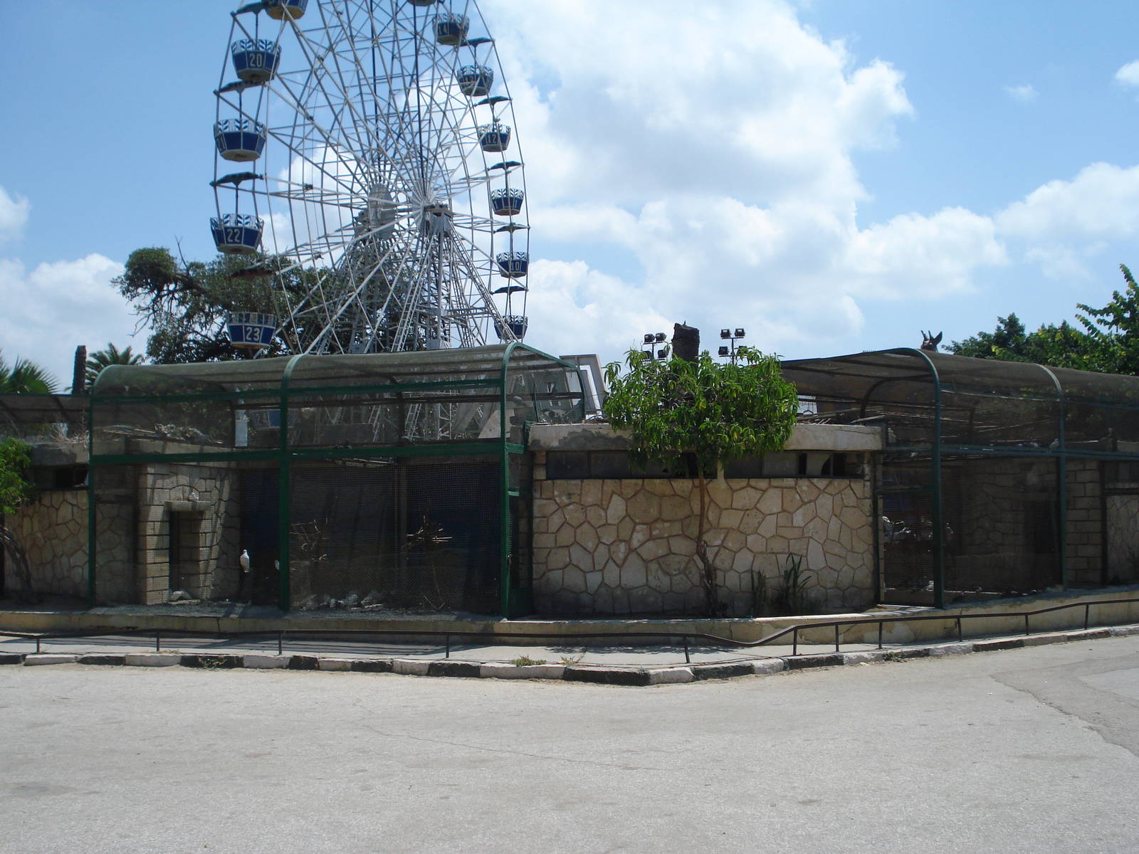 Pigeon / dove aviaries