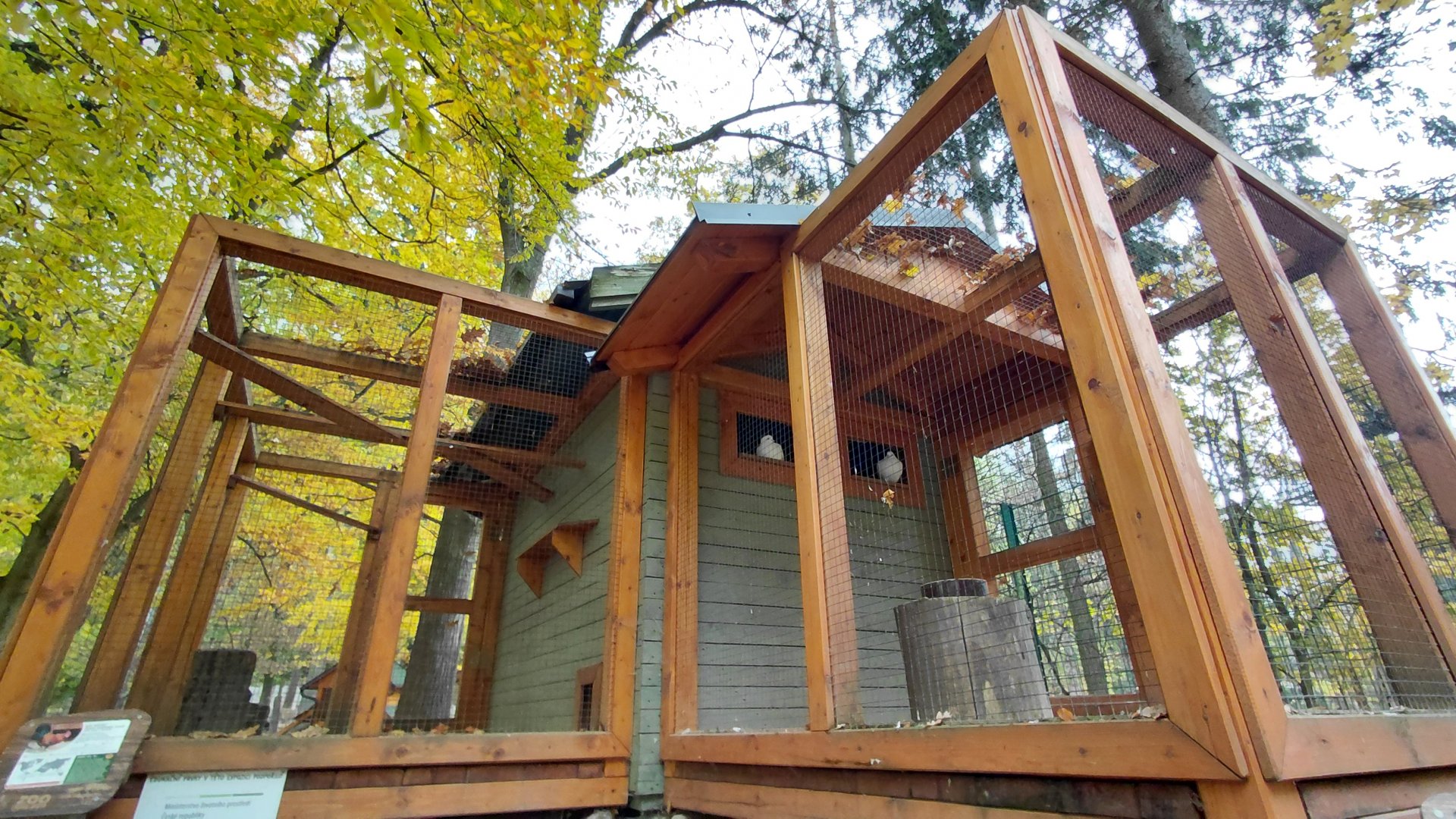 Pigeon + hen aviaries