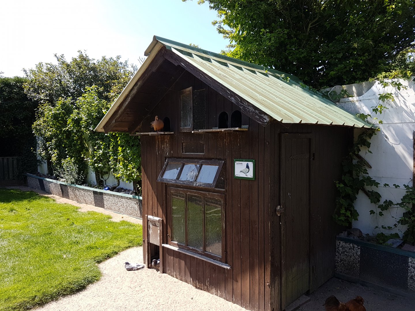 Pigeon-house