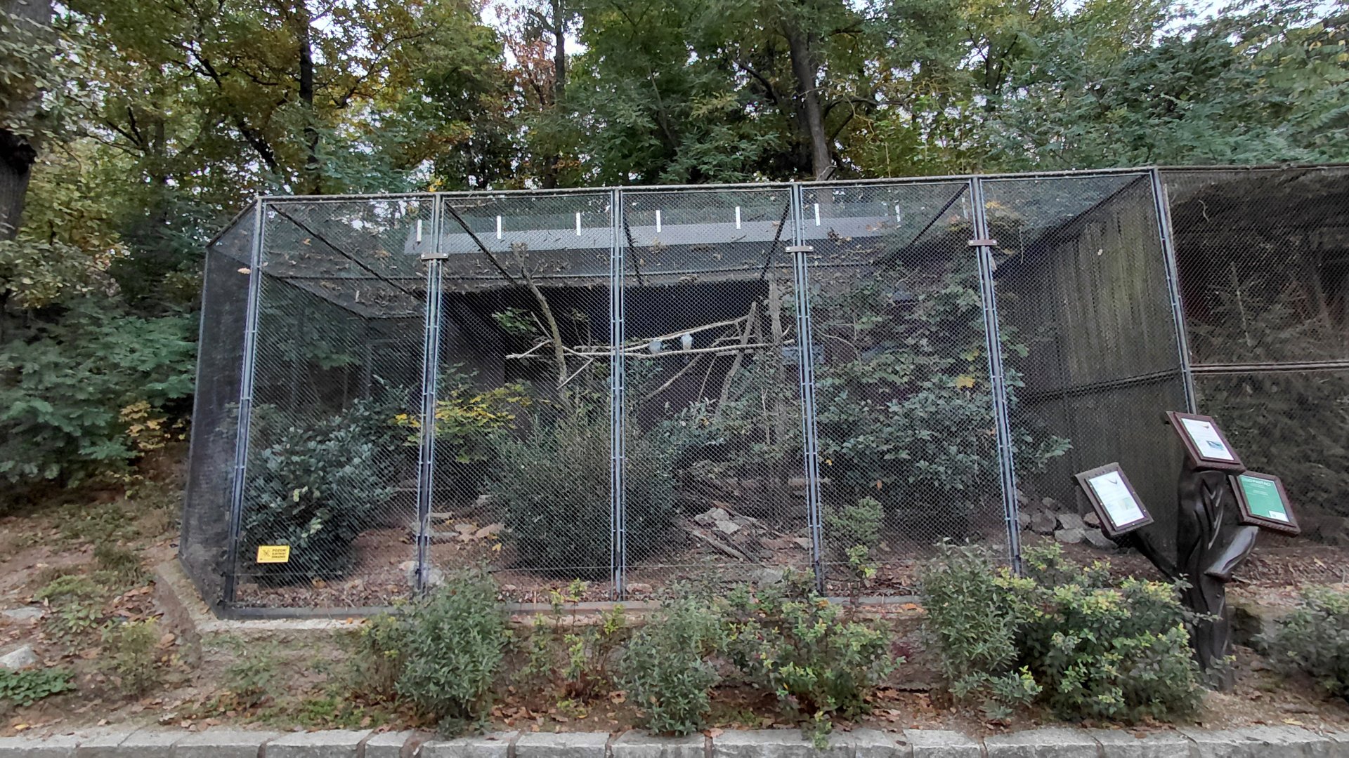 Pigeon + pheasant aviary