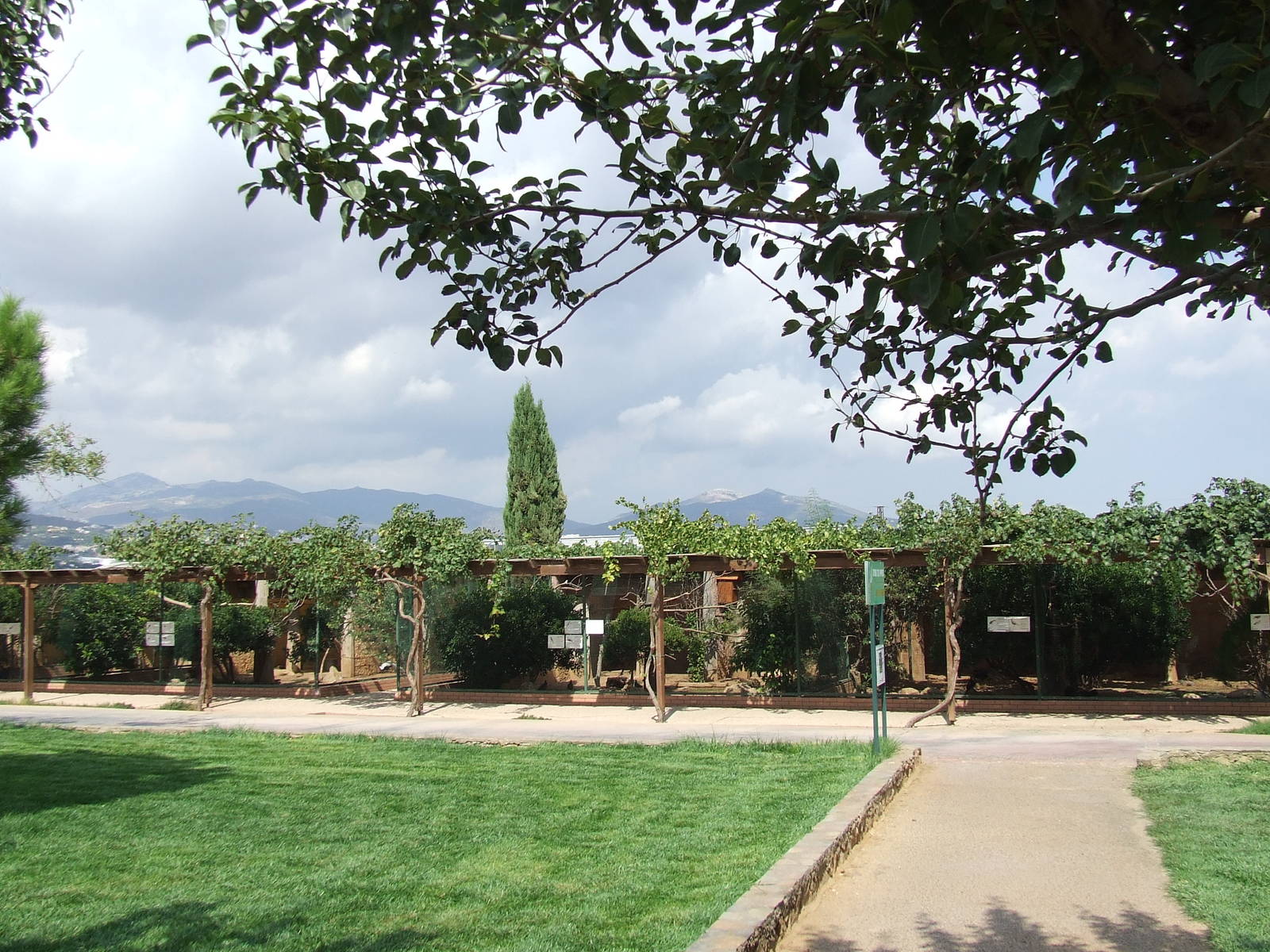 Pigeons and pheasants aviaries