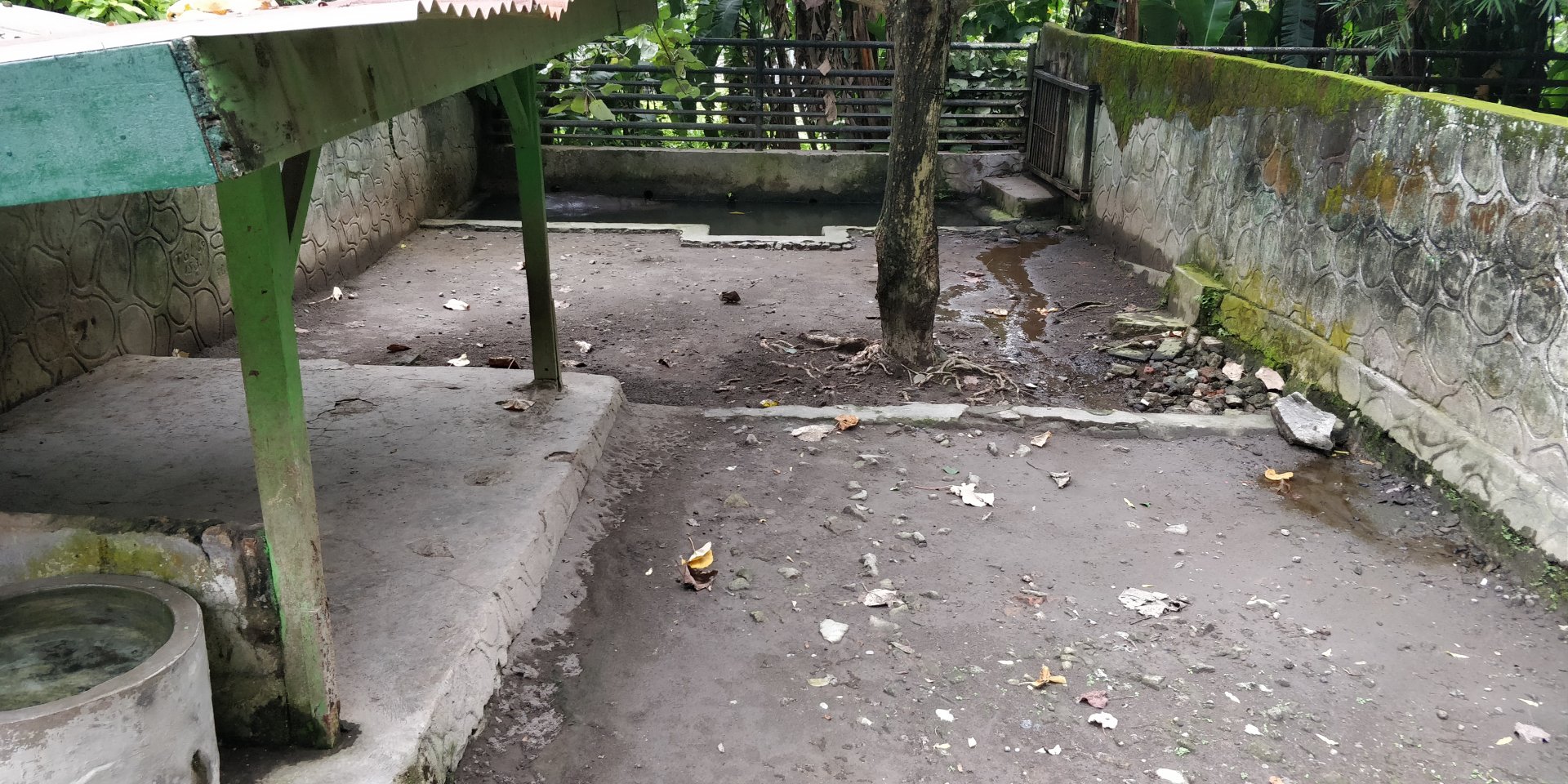 Pigmy hippo enclosure