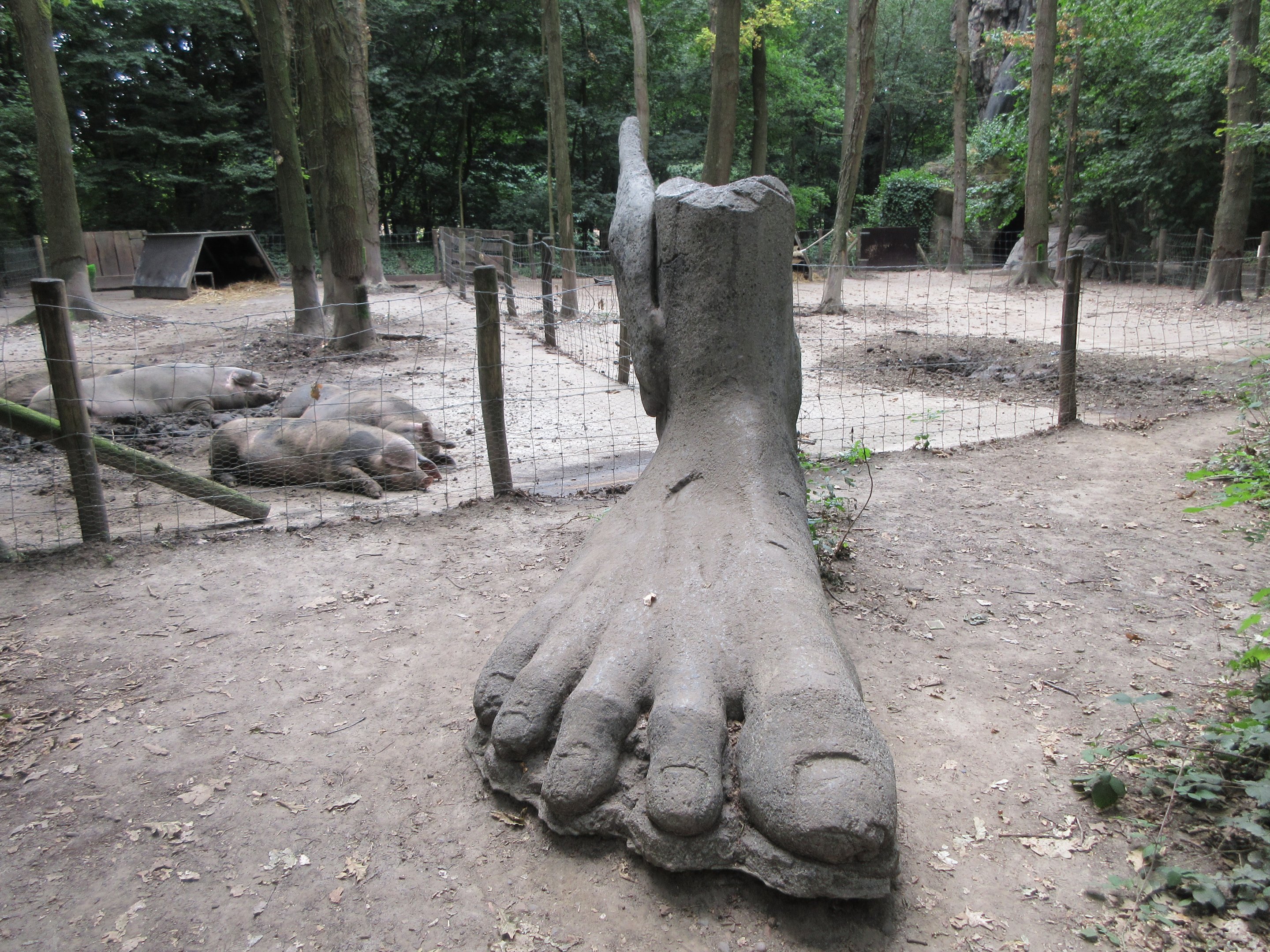 Pigs and a huge foot statue!