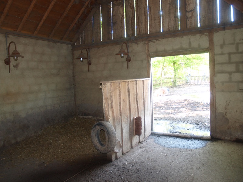 Pigsty (May 2nd, 2015)