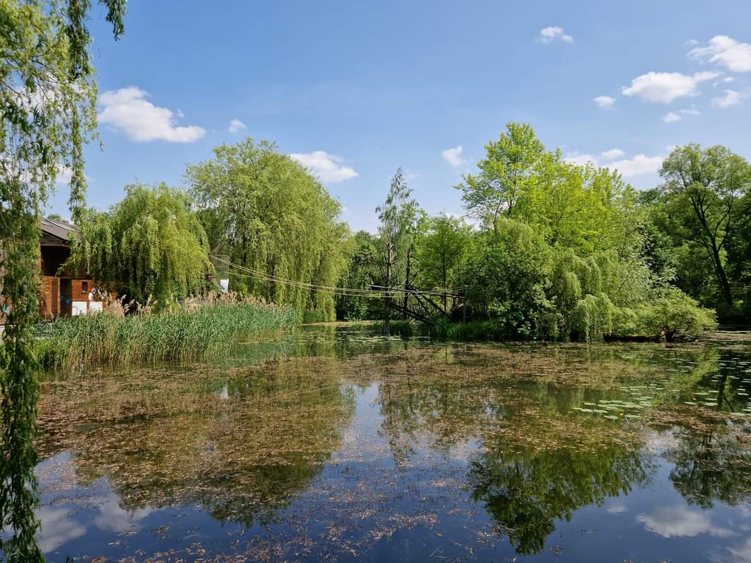 Pilated Gibbon Island