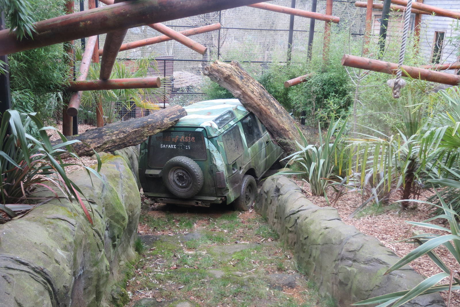 pileated gibbon enclosure 020313