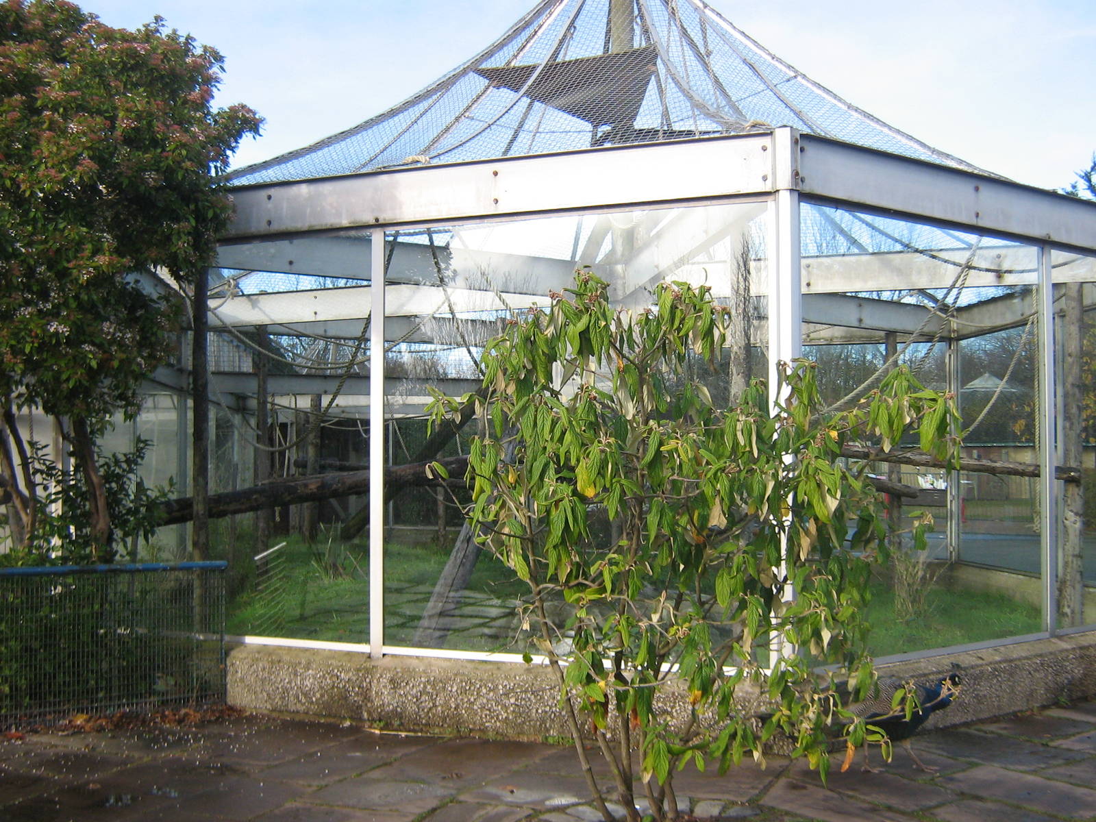 Pileated Gibbon Enclosure.