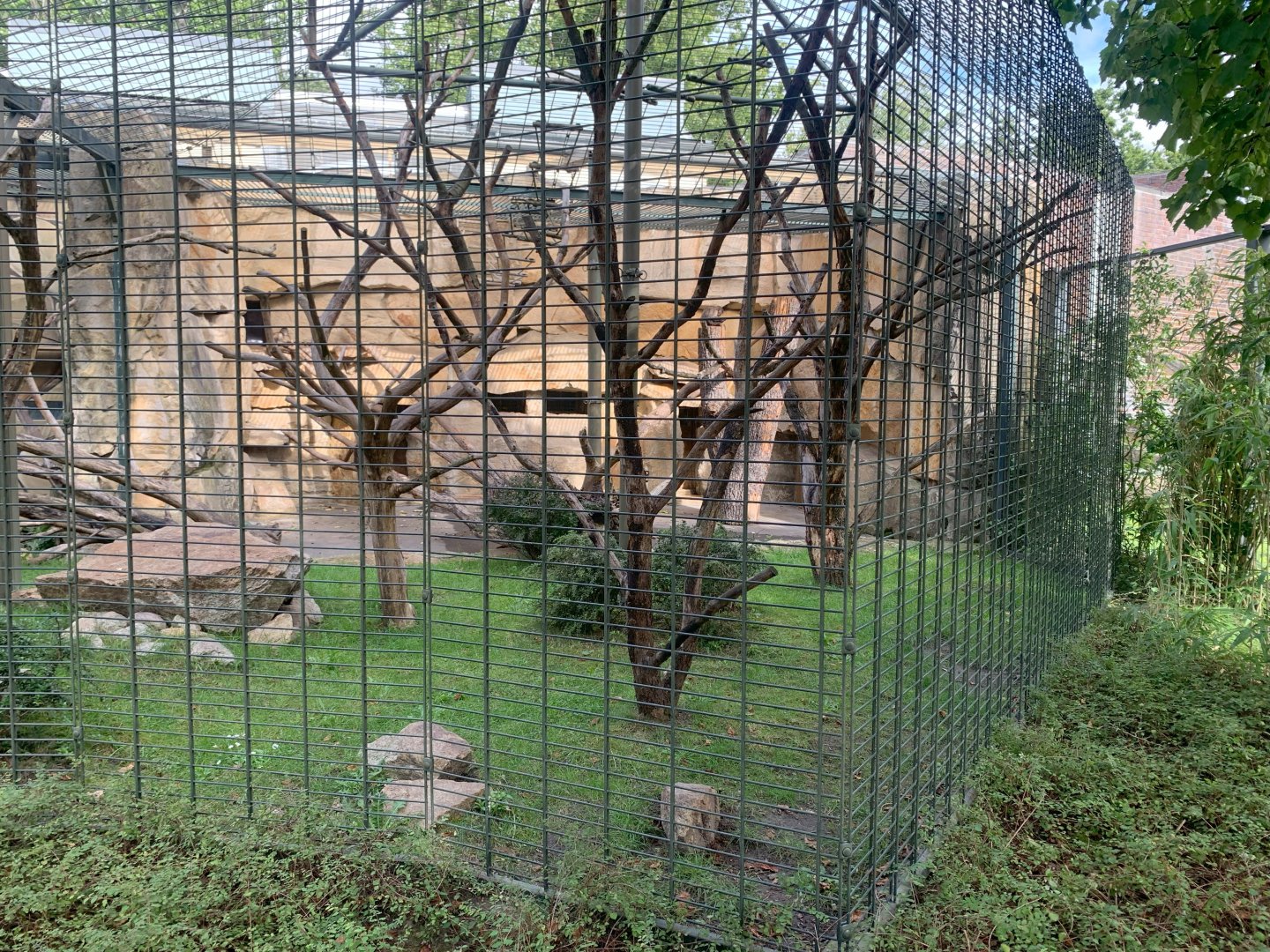 Pileated Gibbon enclosure