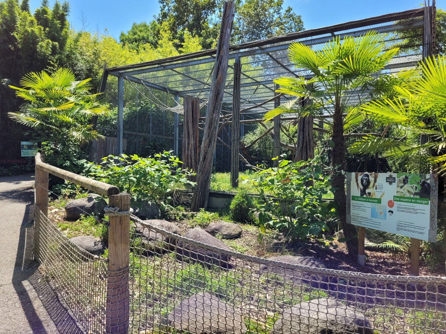 Pileated gibbon exhibit -Zoo d'Asson (2022)