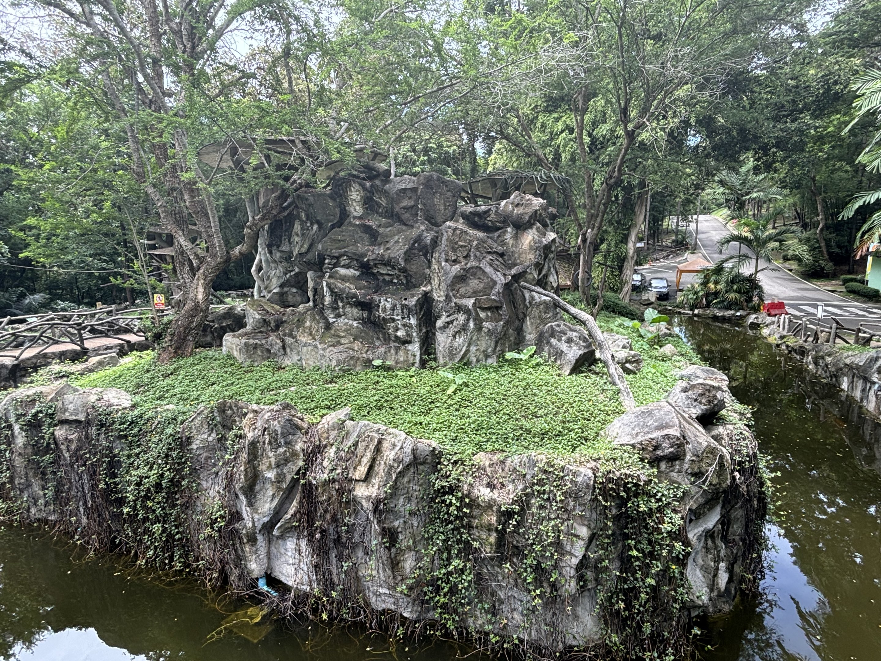 Pileated Gibbon Exhibit