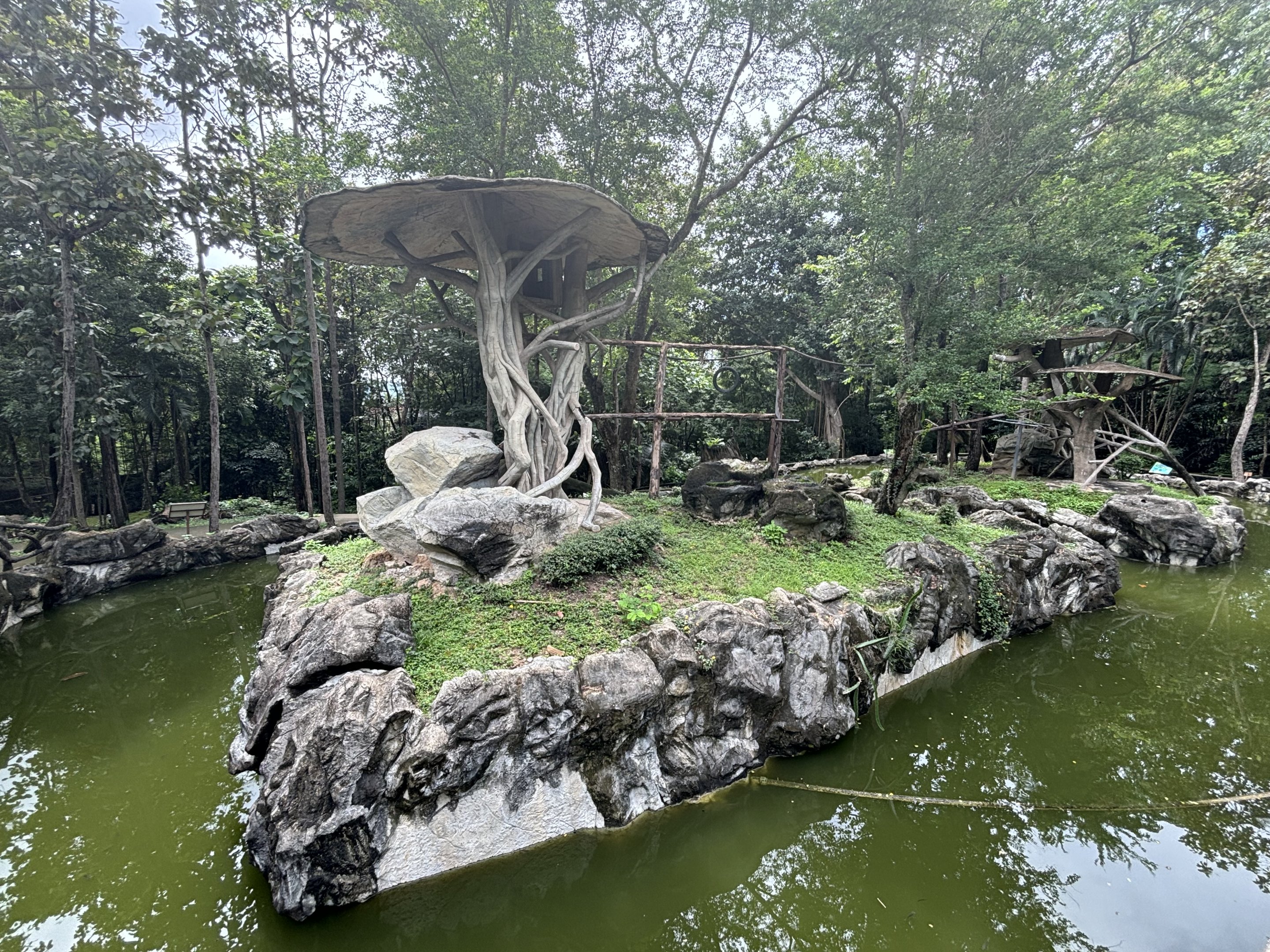 Pileated Gibbon Exhibit