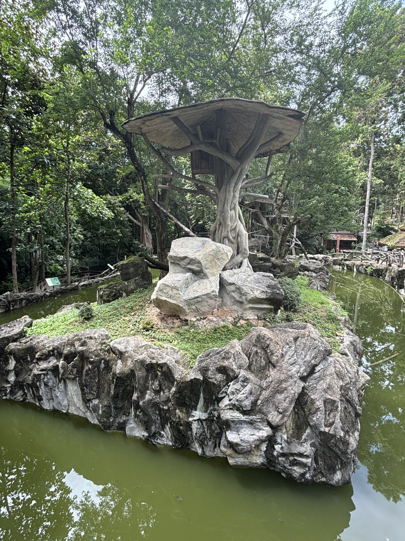 Pileated Gibbon Exhibit