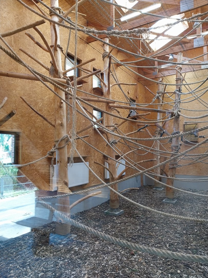 Pileated Gibbon House