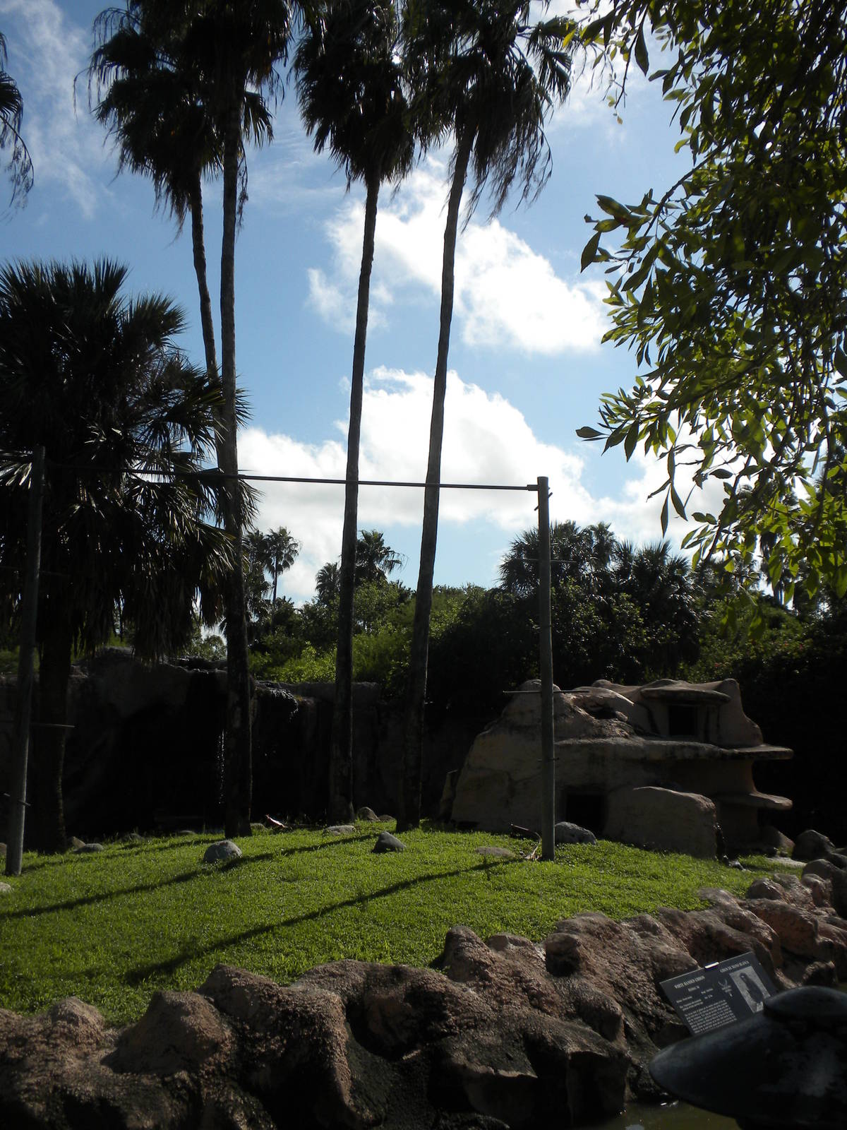 Pileated Gibbon island