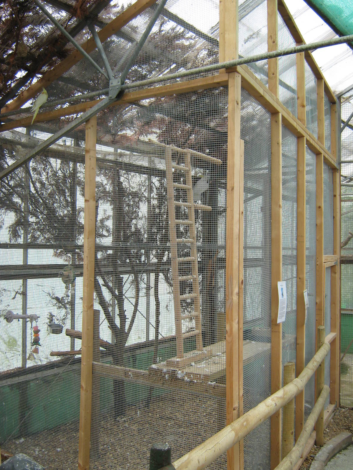 Pili Palas - July 2010, Sulphur Crested Cockatoo aviary