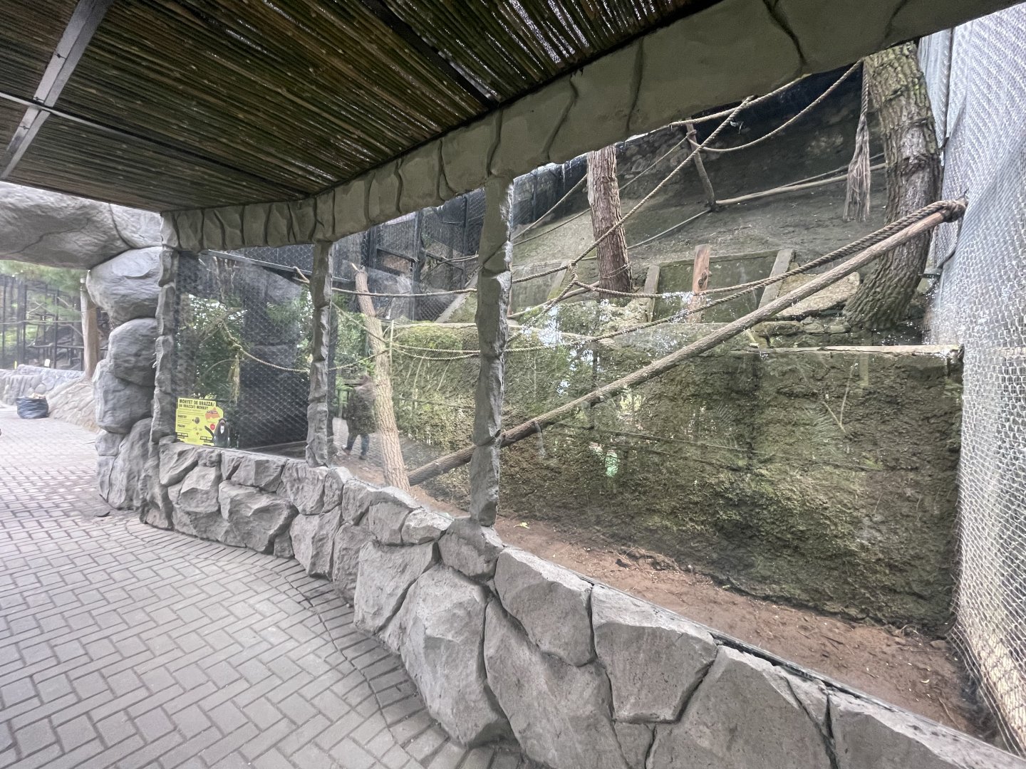 pimate cave - de brazza’s monkey exhibit