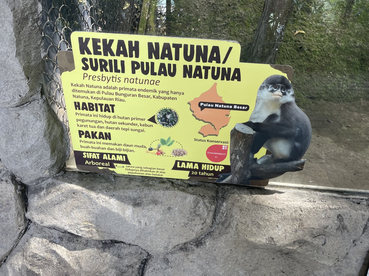 pimate cave - natuna island surili signage