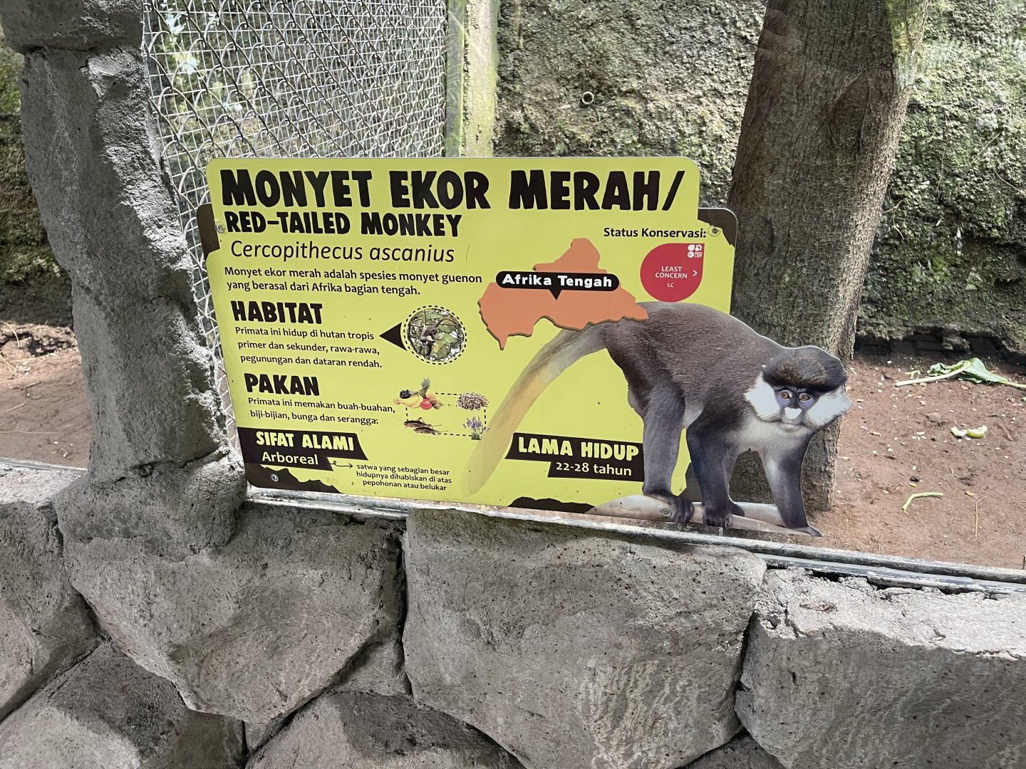 pimate cave - red-tailed monkey signage