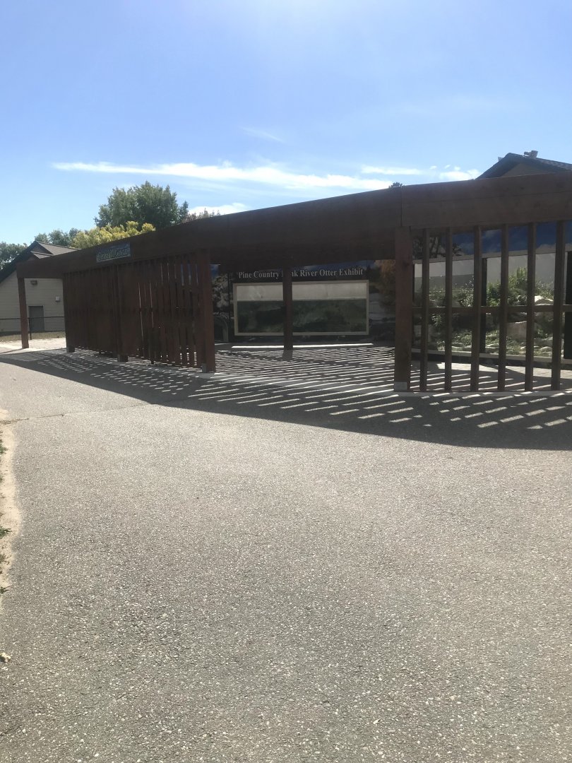 Pine Country Bank River Otter Exhibit- Overview