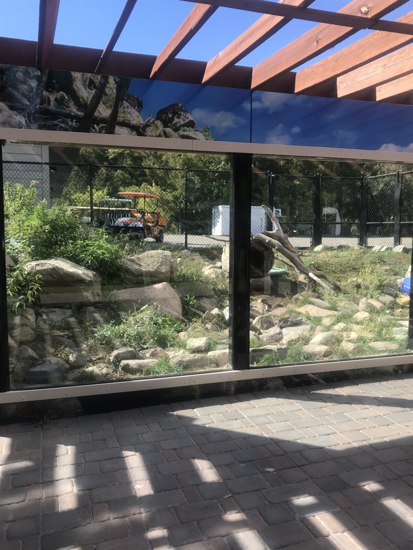 Pine Country Bank River Otter Exhibit
