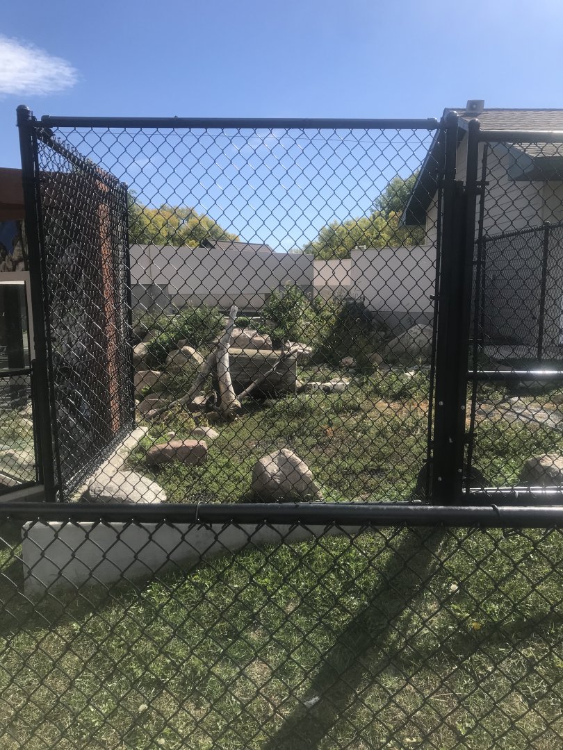 Pine Country Bank River Otter Exhibit