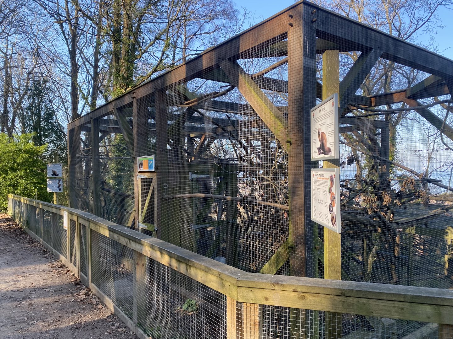 Pine marten enclosure 190325