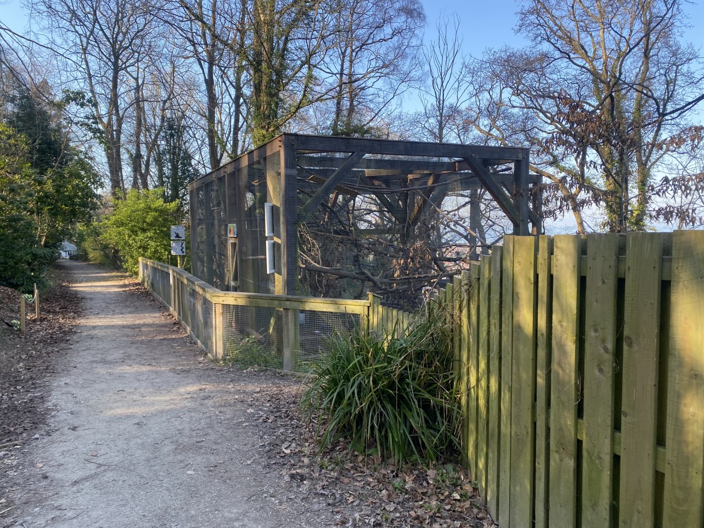 Pine marten enclosures 190325