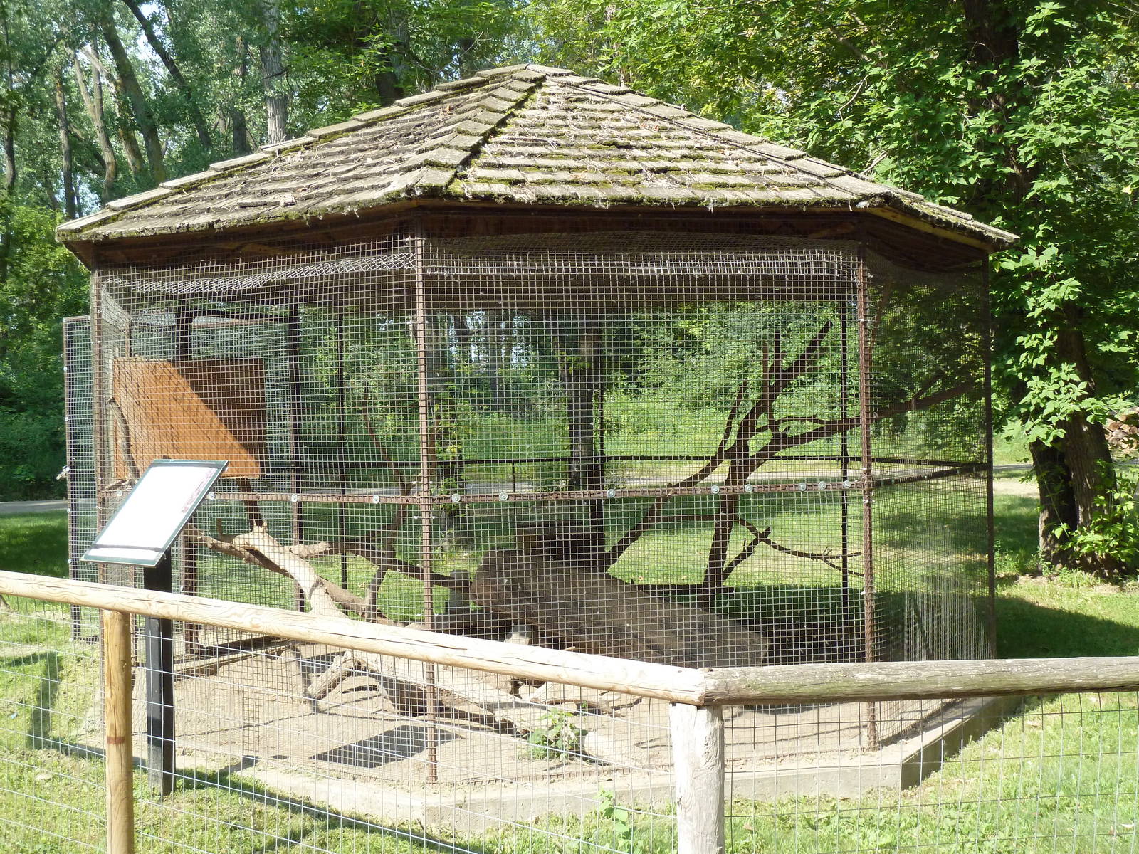 Pine Marten Exhibit