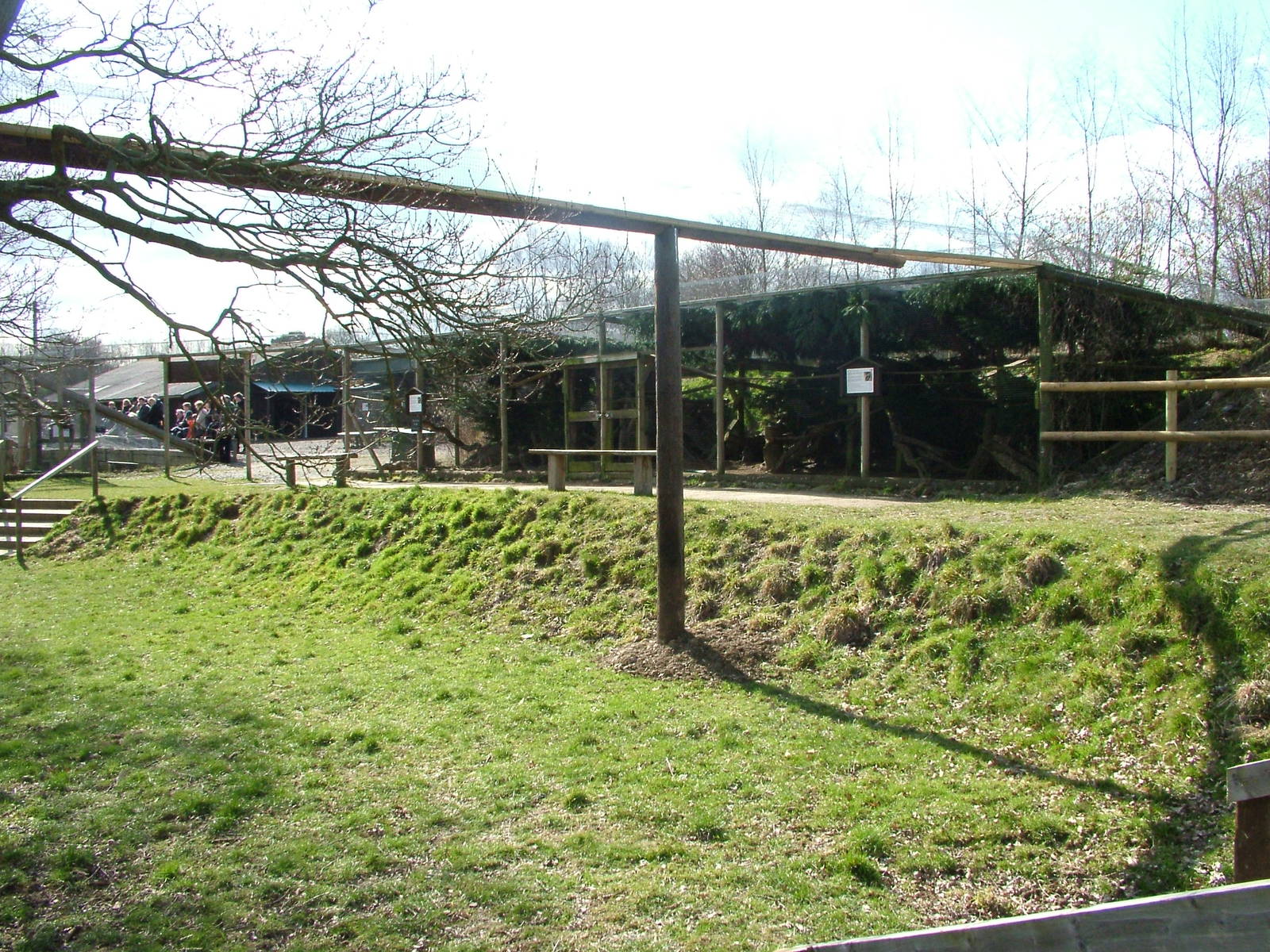 Pine Marten exhibits at the British Wildlife Centre 14/03/10