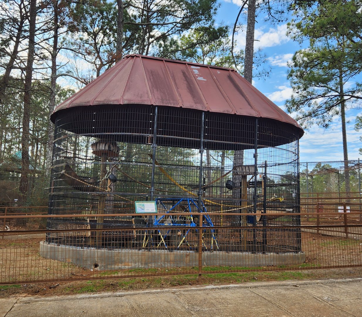 Pine Mountain Safari - Coati enclosure