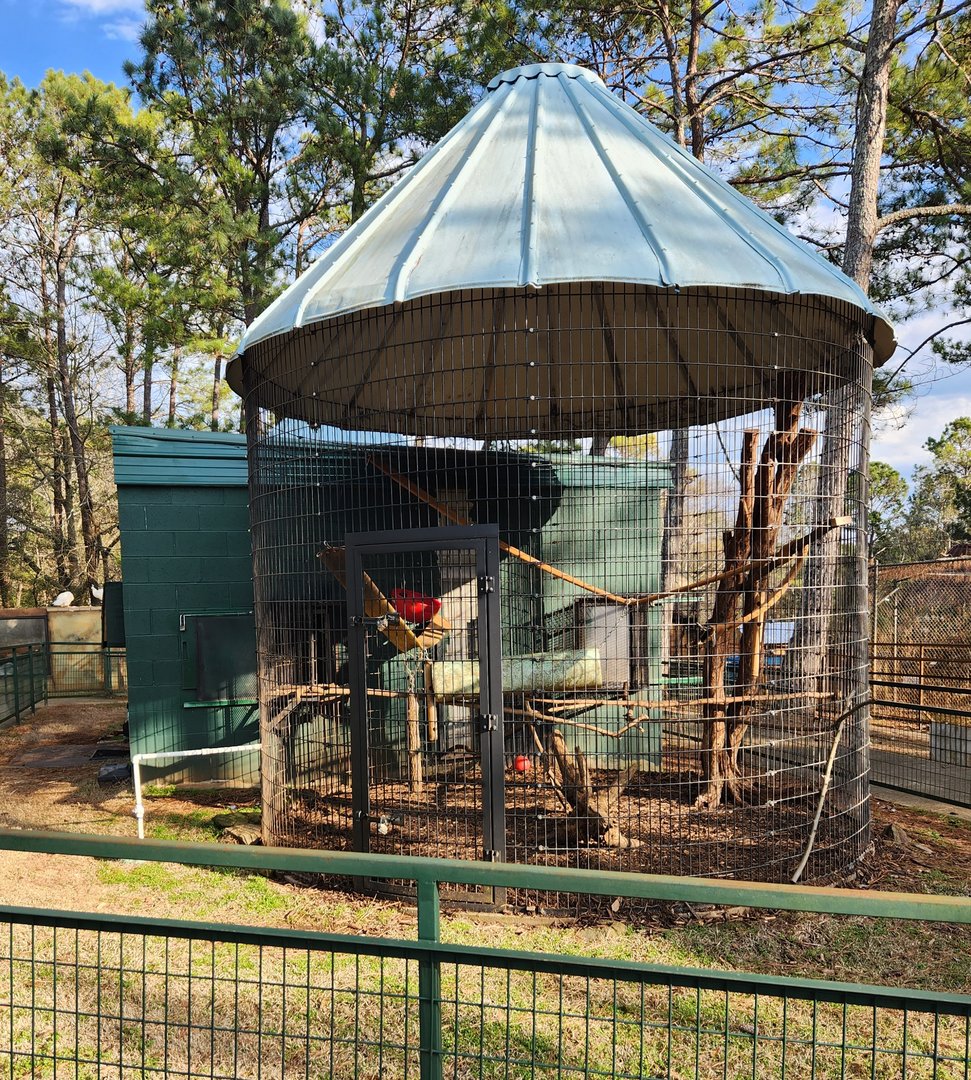 Pine Mountain Safari - Macaque enclosure