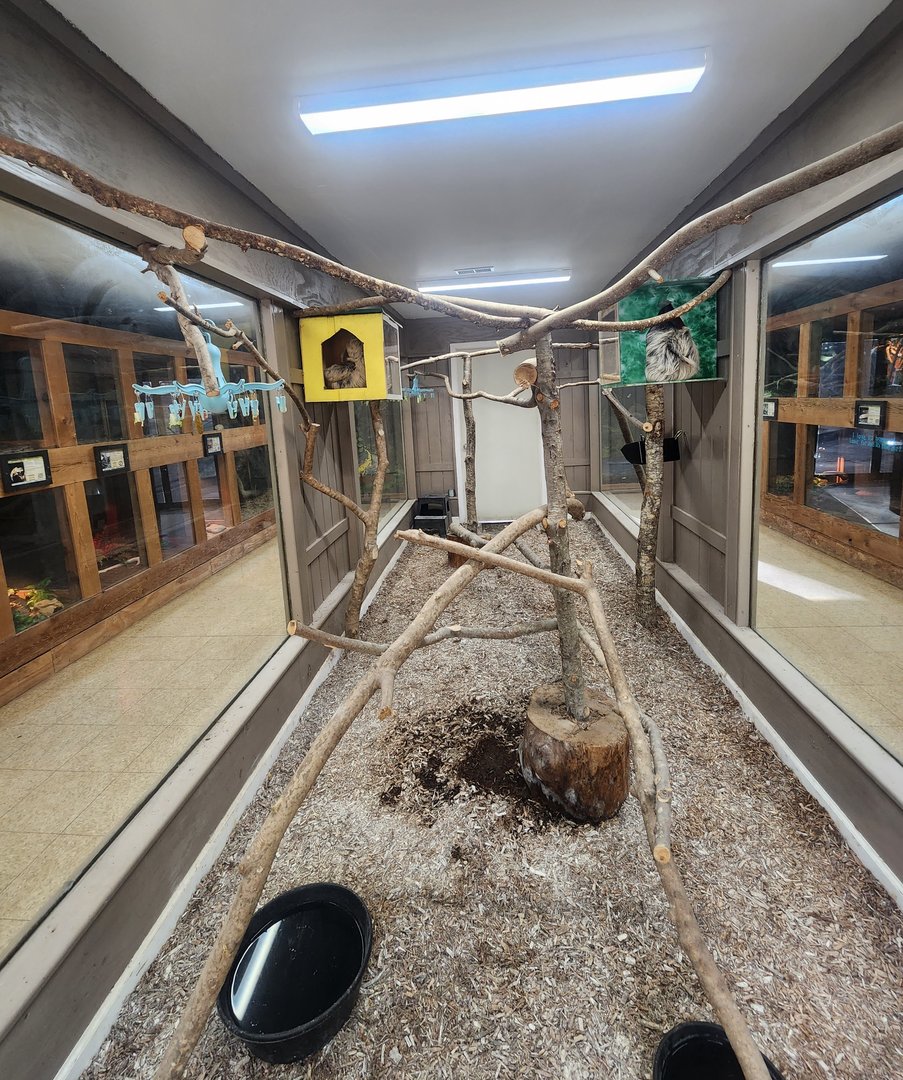Pine Mountain Safari - Sloth enclosure