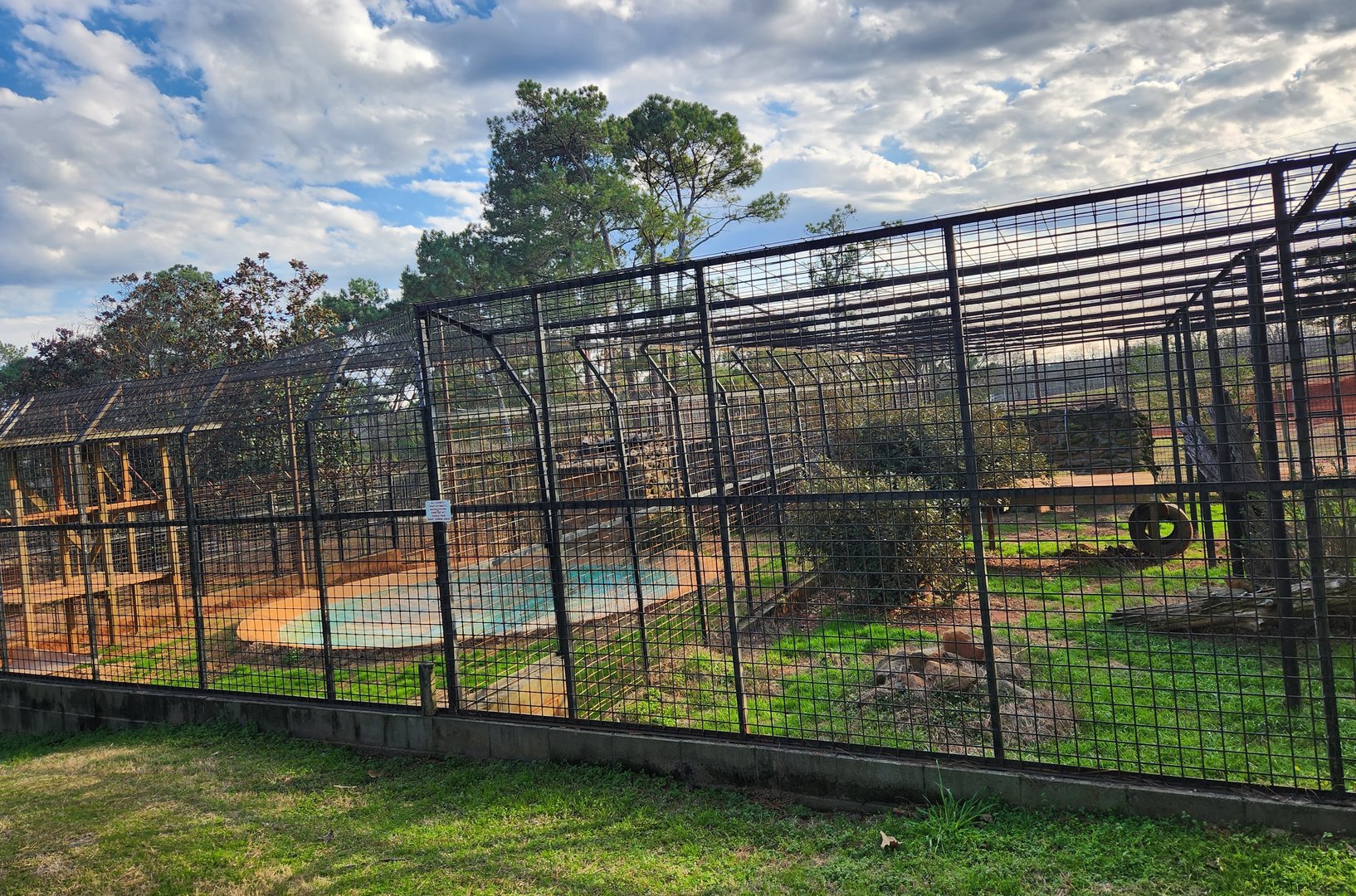 Pine Mountain Safari - Tiger exhibit row