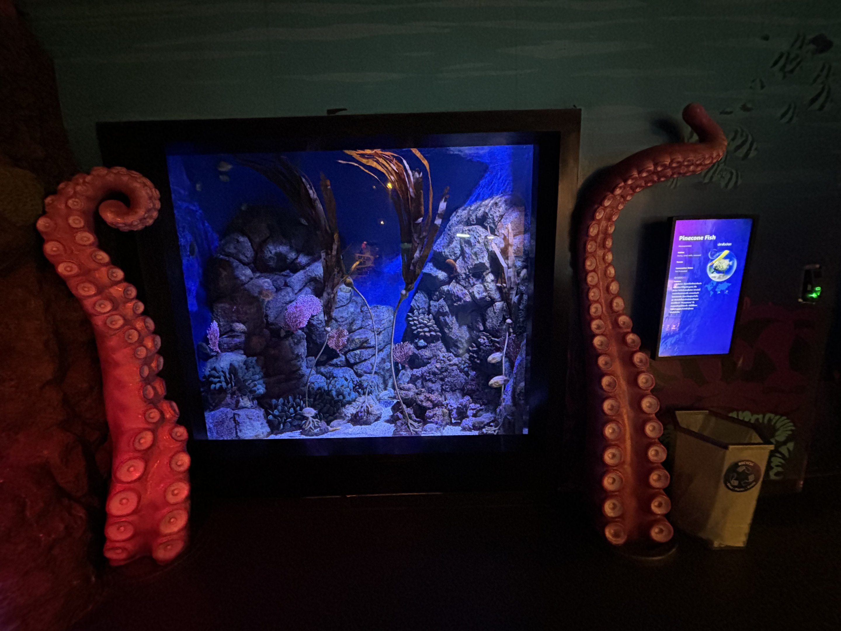 Pinecone Fish Exhibit