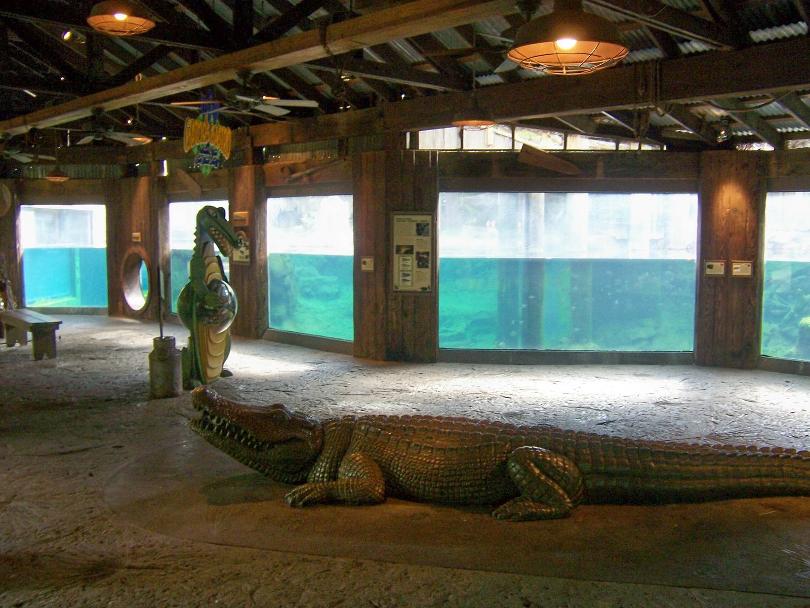 Piney woods and swamp