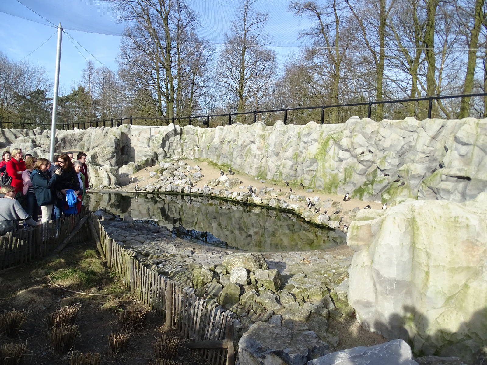 Pinguin enclosure
