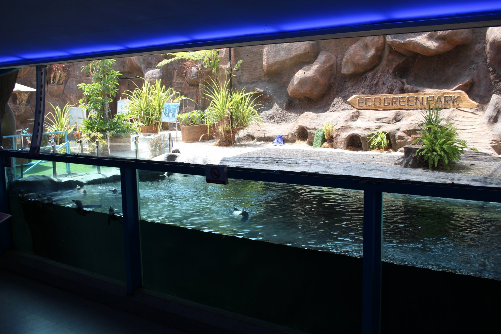 Pinguin Enclosure