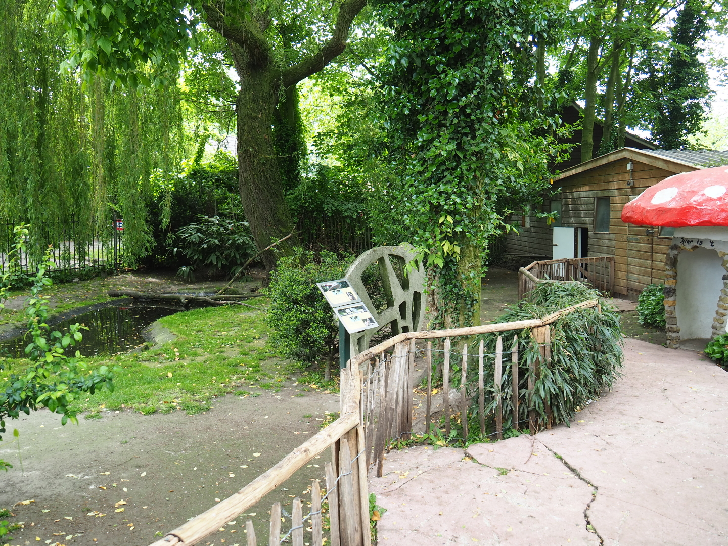 Pink-backed pelican and Great white pelican exhibit, 2019-05-25