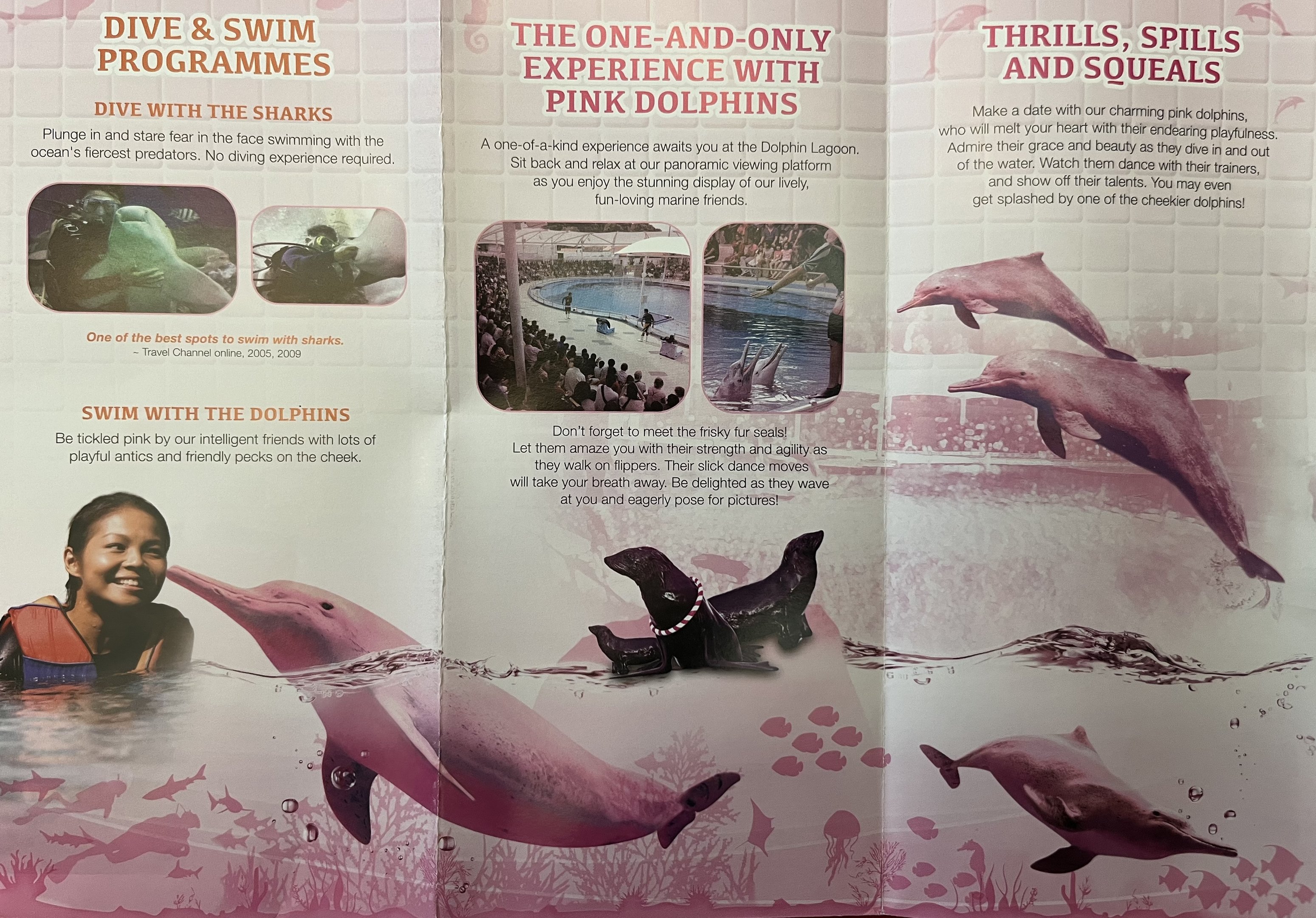 Pink Dolphin Advertisement - 2013