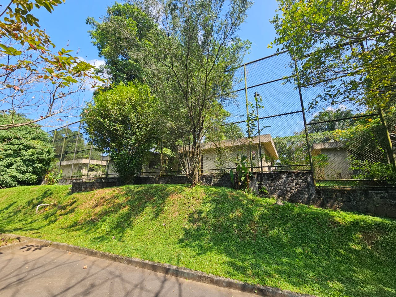 Pinnawala Zoo - Big Cat Backstage