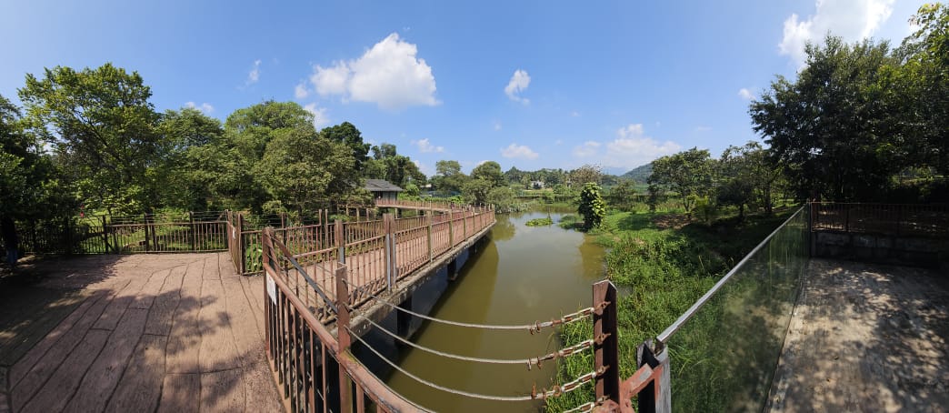 Pinnawala Zoo - Boardwalk between Crocodile enclosures